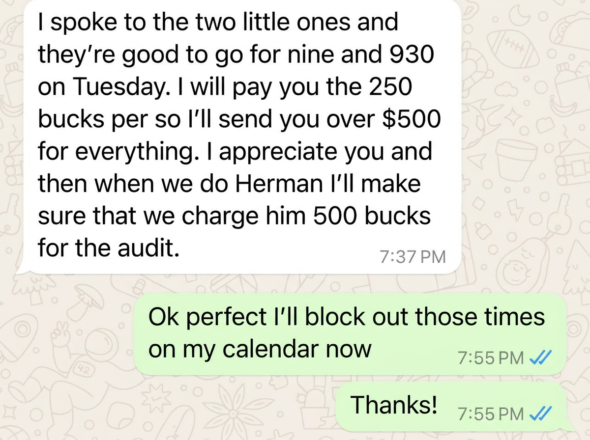 WhatsApp message confirming two audits booked at $250 each